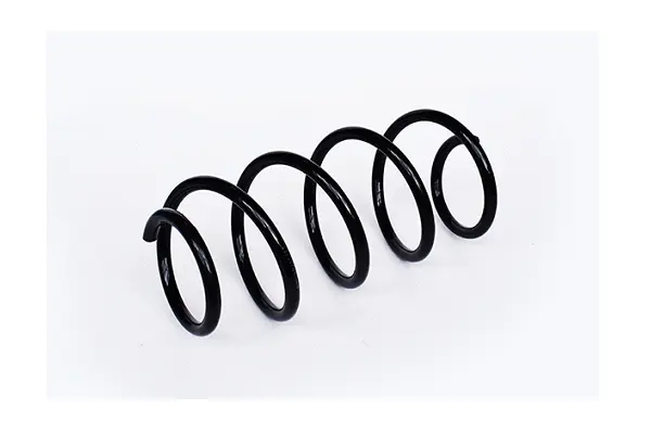 Suspension Spring (73741)