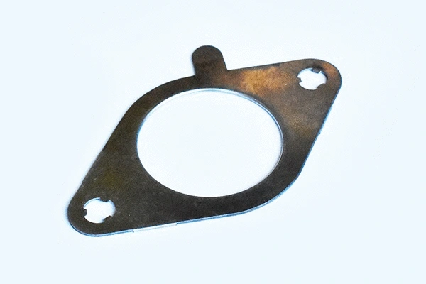 Gasket, exhaust pipe (55569)