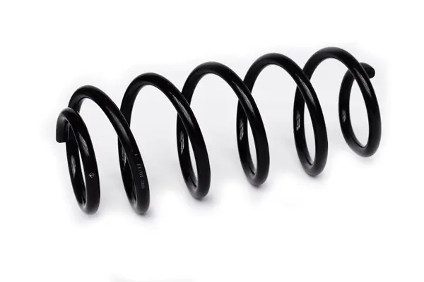Suspension Spring (73746)