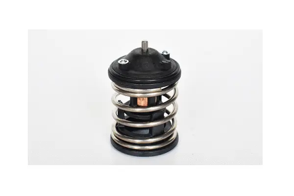 Thermostat, coolant (77179)