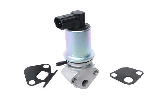EGR Valve (74203)