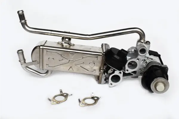 EGR Valve (73469)