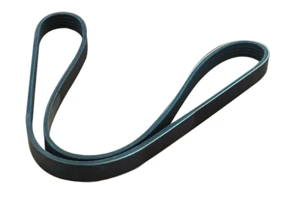 V-Ribbed Belt (55988)