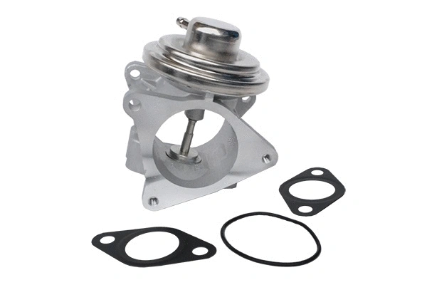 EGR Valve (74115)