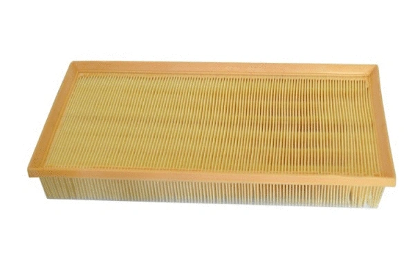 Air Filter (70317)