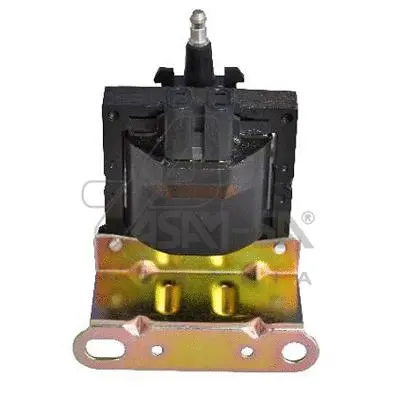 Ignition Coil (50010)