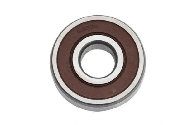 Bearing (80095)
