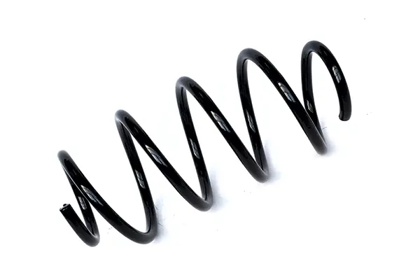 Suspension Spring (72896)