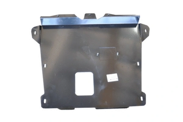 Engine Guard/Skid Plate (63049)