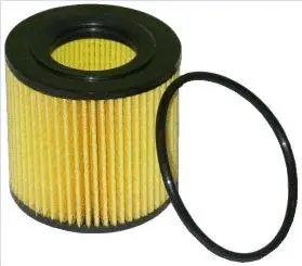 Oil Filter (30547)