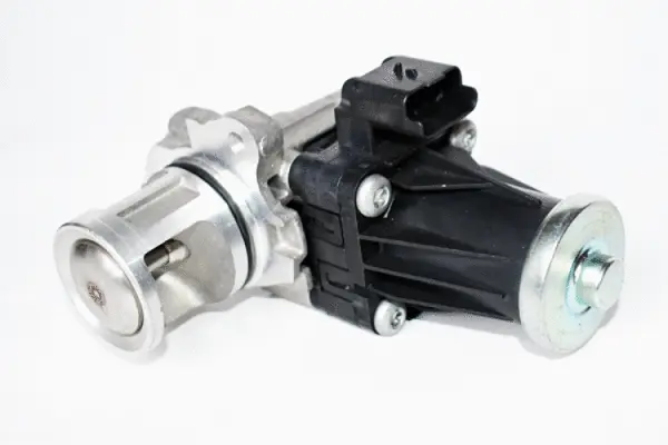 EGR Valve (73488)