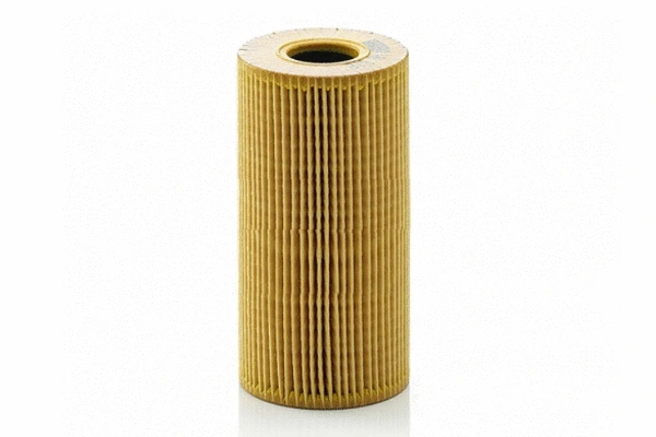 Oil Filter (70106)