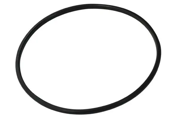 Seal, fuel tank cap (30777)