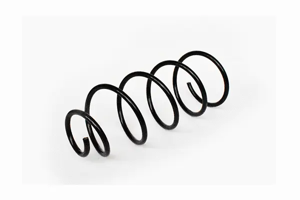 Suspension Spring (73793)