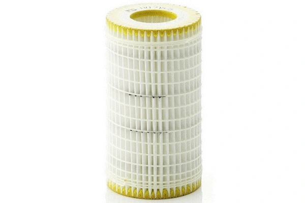 Oil Filter (70139)