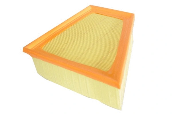 Air Filter (70290)