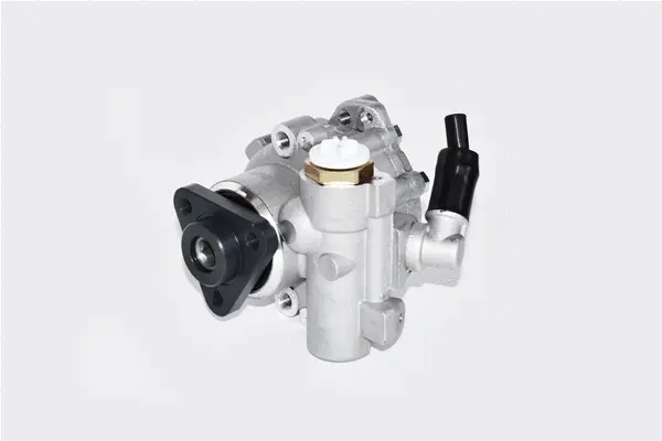 Hydraulic Pump, steering (99394)