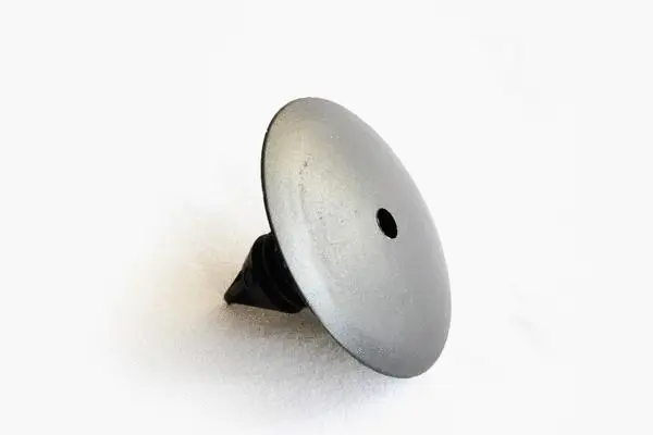 Clip, trim/protection strip (30888)
