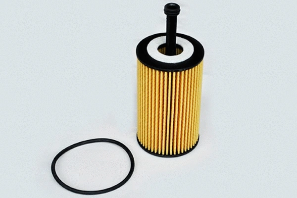 Oil Filter (70057)