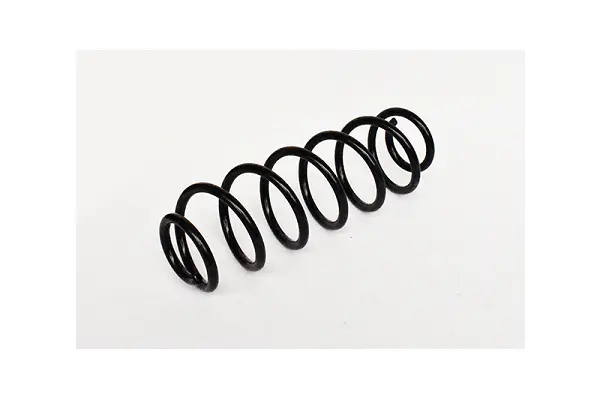 Suspension Spring (73773)