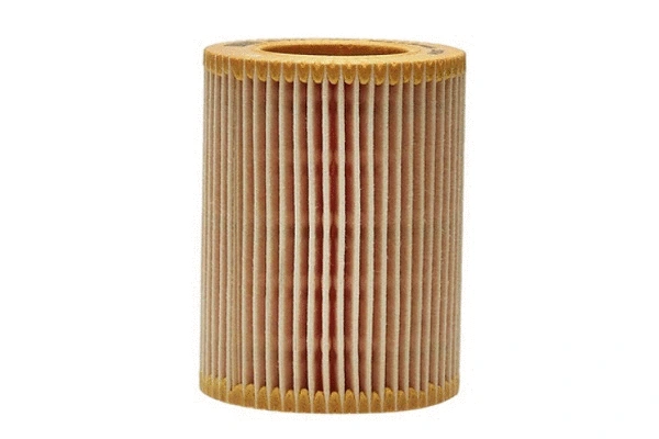 Oil Filter (70177)