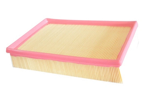 Air Filter (70270)