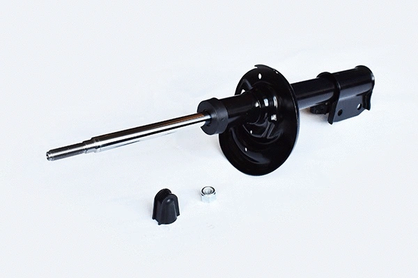 Shock Absorber (55253)