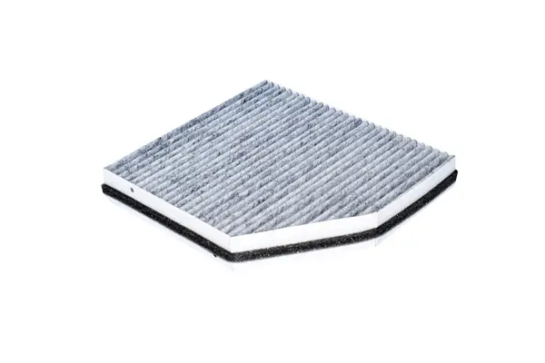 Filter, cabin air (79831)
