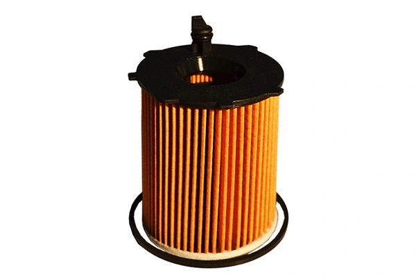 Oil Filter (30551)