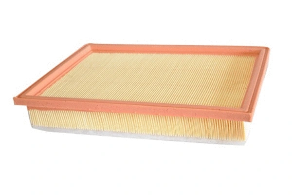Air Filter (70302)