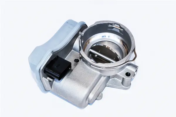 Throttle Body (79484)