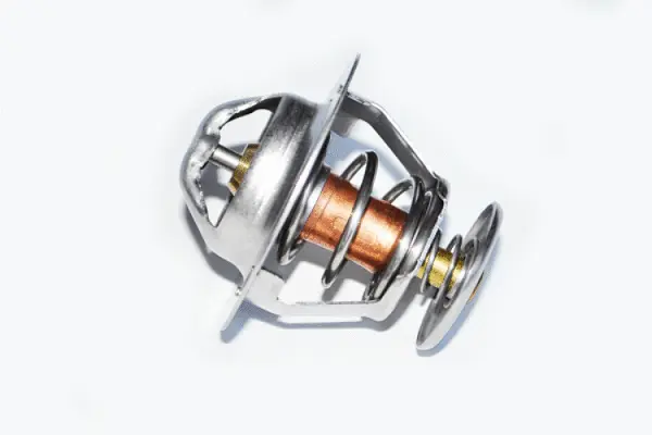 Thermostat, coolant (73367)