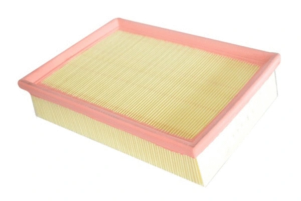 Air Filter (70330)