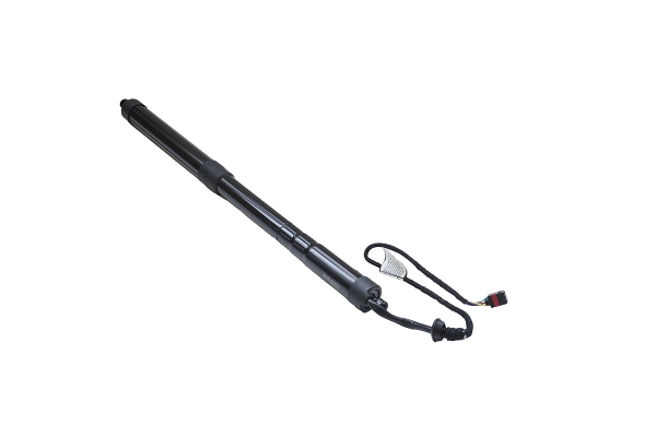 Electric Motor, tailgate (100174)