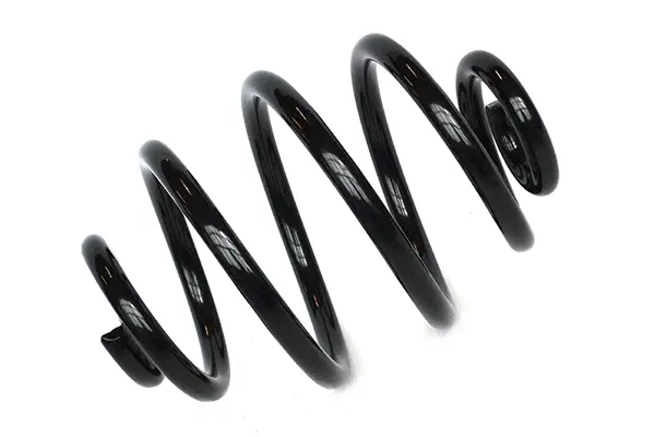 Suspension Spring (75425)