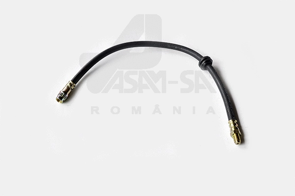 Brake Hose (32031)