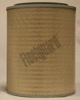 Air Filter (AF25045M)