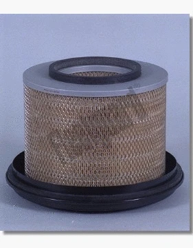 Air Filter (AF1829)