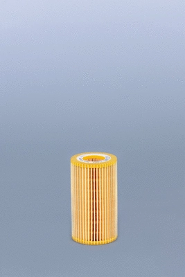 Oil Filter (LF3997)