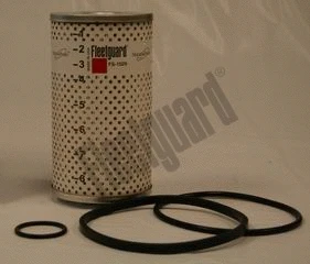 Fuel Filter (FS1029W)