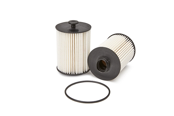 Fuel Filter (FS19925)