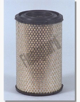 Air Filter (AF25246)