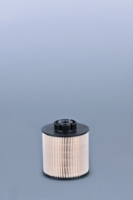 Fuel Filter (FF5380)