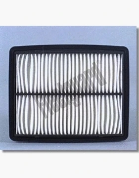 Air Filter (AF25017)