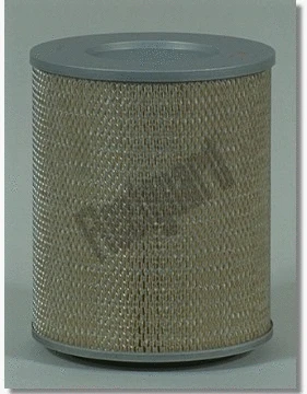 Air Filter (AF4972)