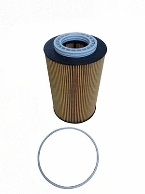 Oil Filter (LF17529)