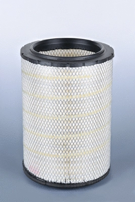 Air Filter (AF26163M)