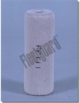 Fuel Filter (FF111)