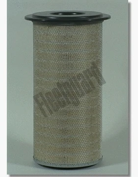 Air Filter (AF25294)