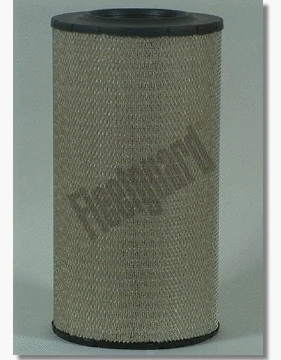 Air Filter (AF25437)